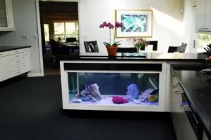 🥇☕Top 6 Fish Tank Coffee Table – Coffee Table Aquarium Reviews
