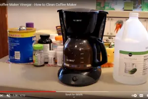 Why are Ants Attracted to My Coffee Maker?