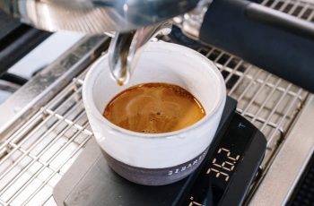 Where to Buy Michael Graves Coffee Maker