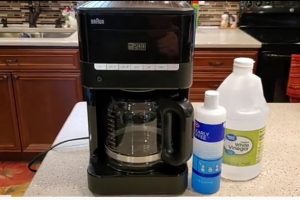 How To Descale Braun Coffee Maker